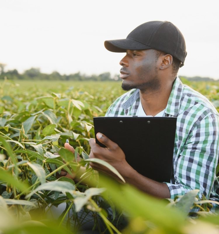 an-african-agronomist-in-a-soybean-field-examines-2026-01-08-23-54-17-utc (1) (1)